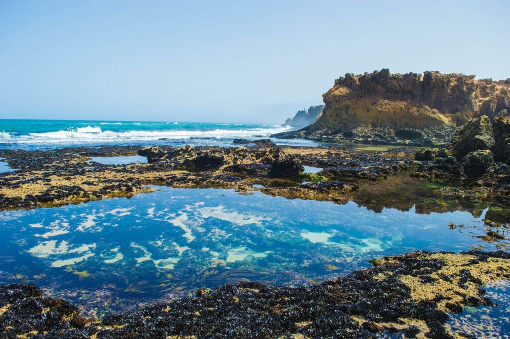 Oualidia plage maroc